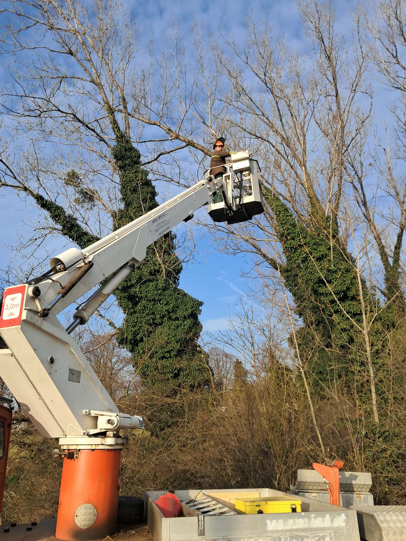 Fakivágás — emelőkosaras ágmetszés