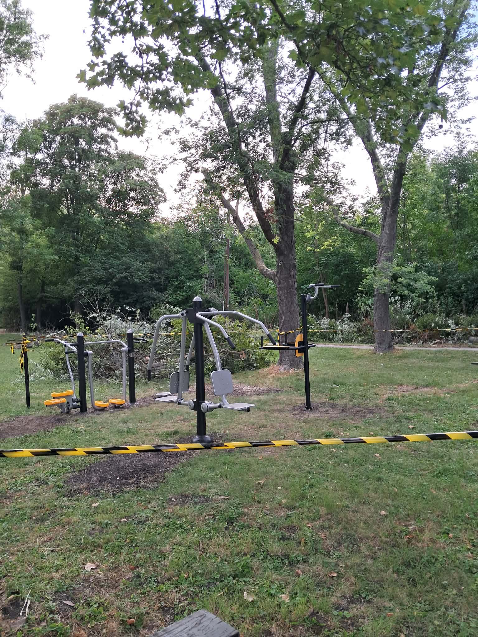 Fakivágás — közterületi munka park területén