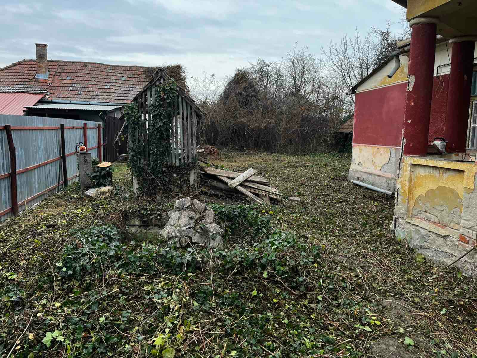 Területtisztítás előtte — gazos udvar romos épülettel