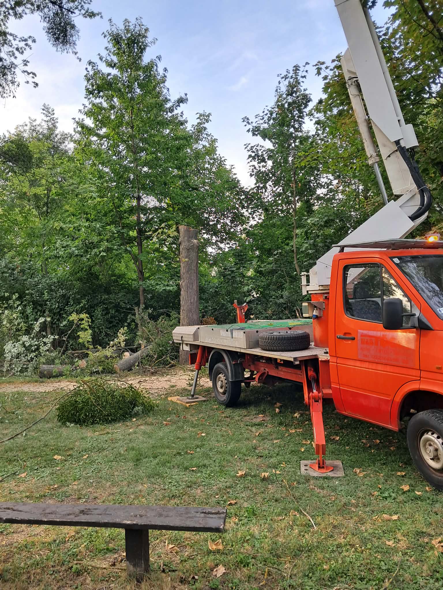 Fakivágás — emelőkosaras autó nagy fa mellett