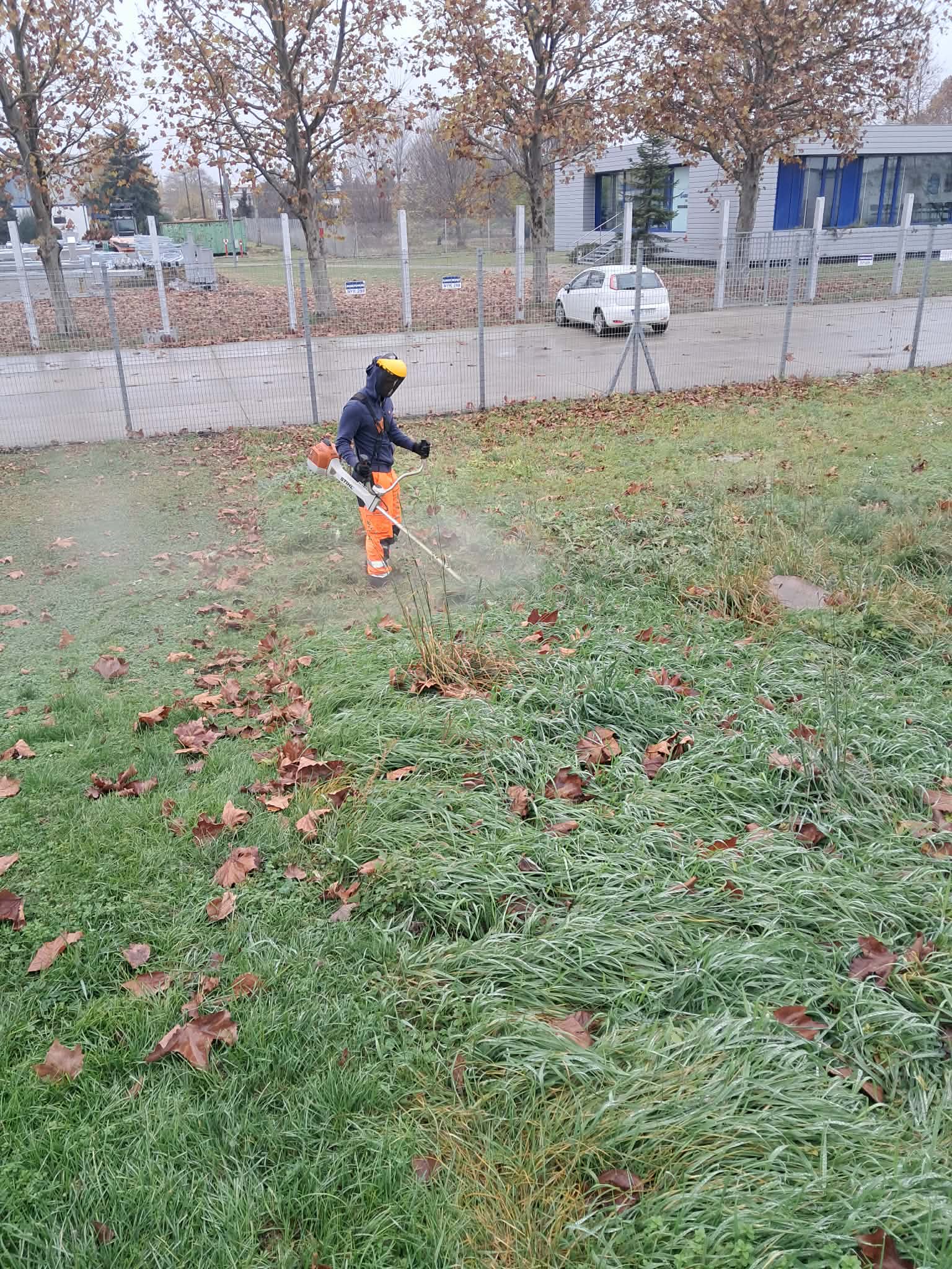 Fűkaszálás — motoros fűkaszával gazos terület
