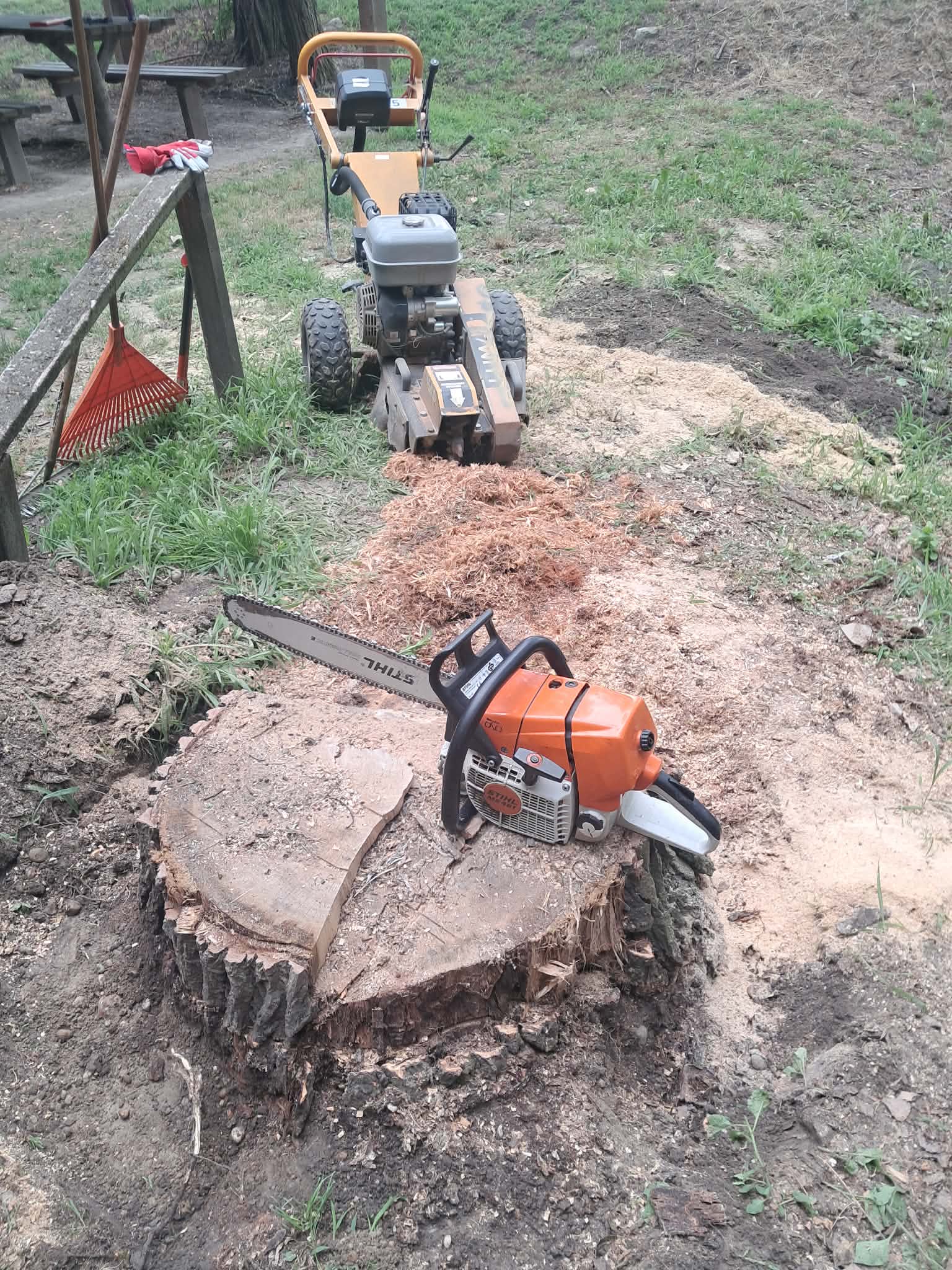 Fakivágás és tuskómarás — Stihl láncfűrész és marógép együtt